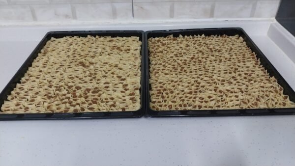 Mantı, ev mutfağında hazırlanmış doğal sunum